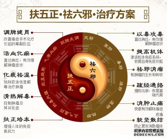 中医免疫抗癌消瘤体系治疗原则
